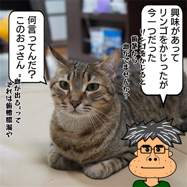 f:id:zutarou:20201006225524p:plain