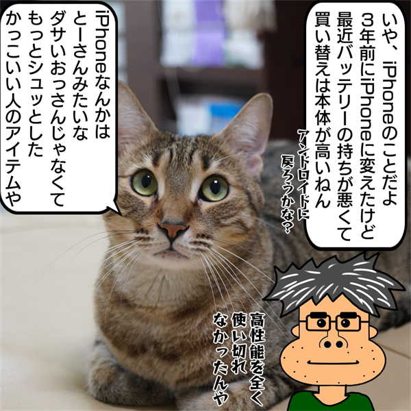 f:id:zutarou:20201007211503p:plain