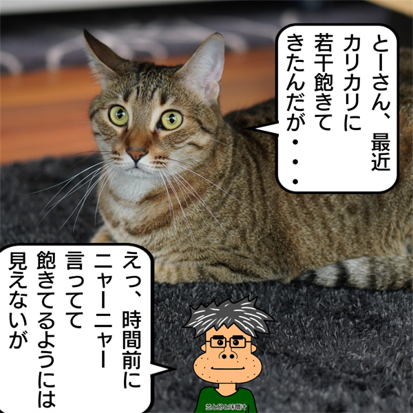 f:id:zutarou:20201014222739p:plain