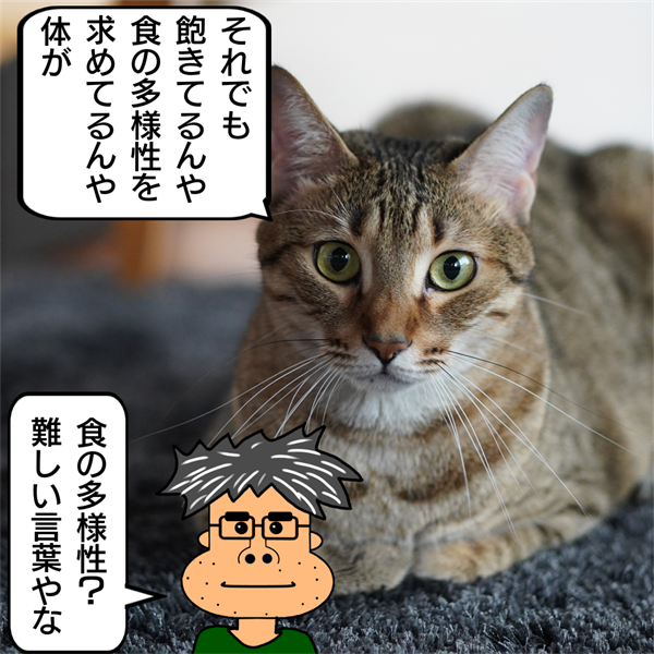 f:id:zutarou:20201014222748p:plain