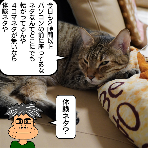 f:id:zutarou:20201018020308p:plain