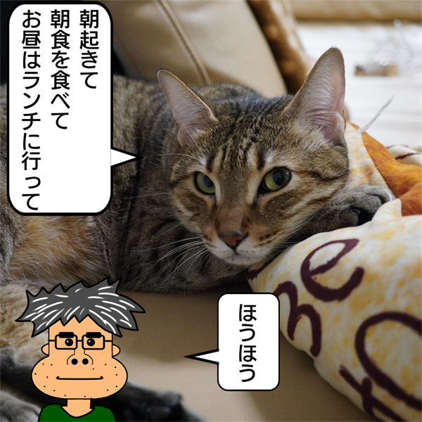 f:id:zutarou:20201018020318p:plain