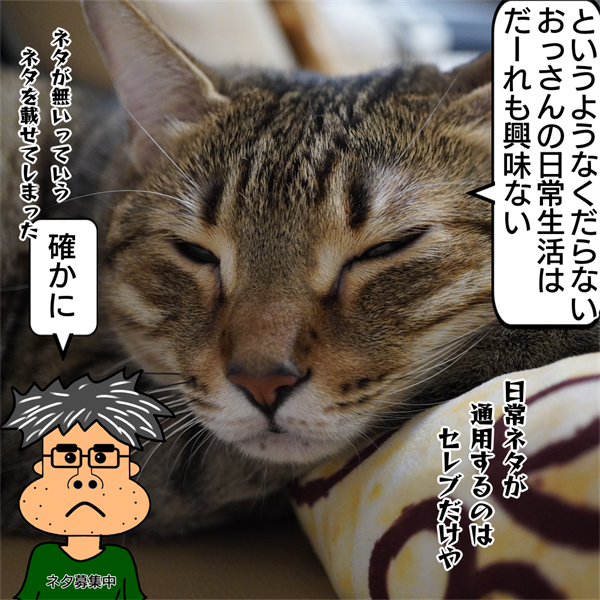 f:id:zutarou:20201019214607p:plain