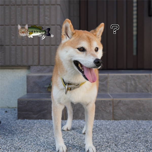 f:id:zutarou:20201029230627p:plain