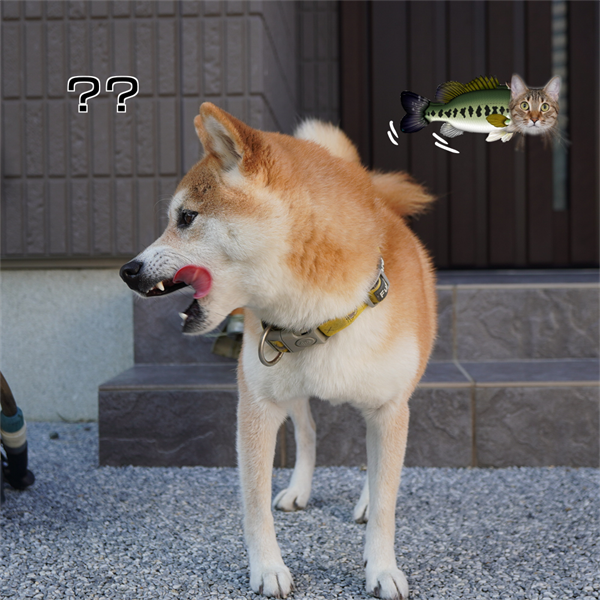 f:id:zutarou:20201029230641p:plain