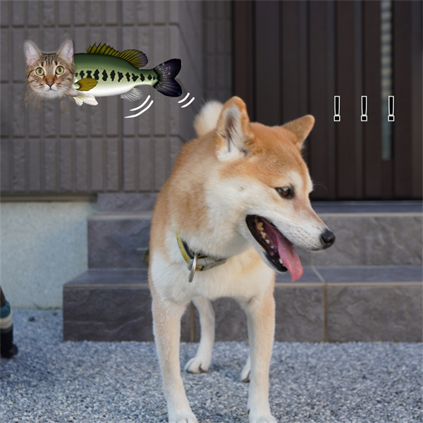 f:id:zutarou:20201029230651p:plain