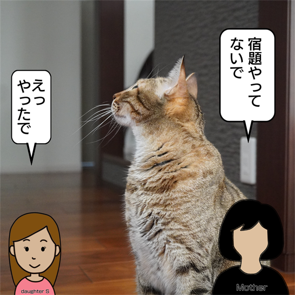 f:id:zutarou:20201206210702p:plain