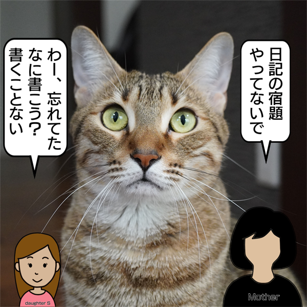 f:id:zutarou:20201206210715p:plain