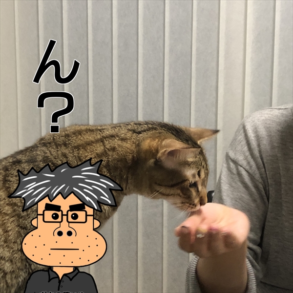 f:id:zutarou:20201221224021j:plain