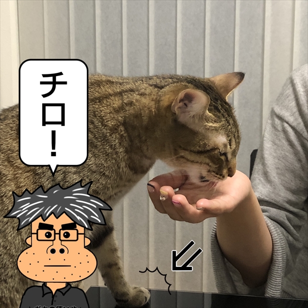 f:id:zutarou:20201221224030j:plain