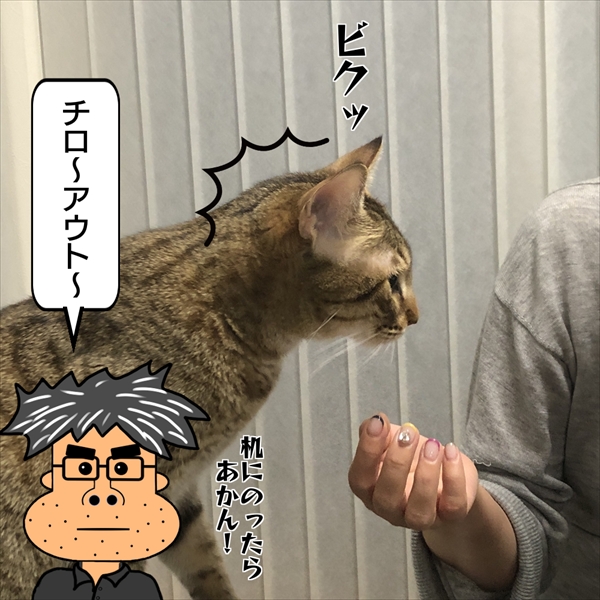 f:id:zutarou:20201221224046j:plain