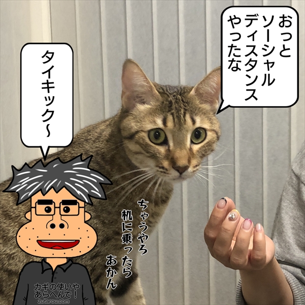 f:id:zutarou:20201221224054j:plain