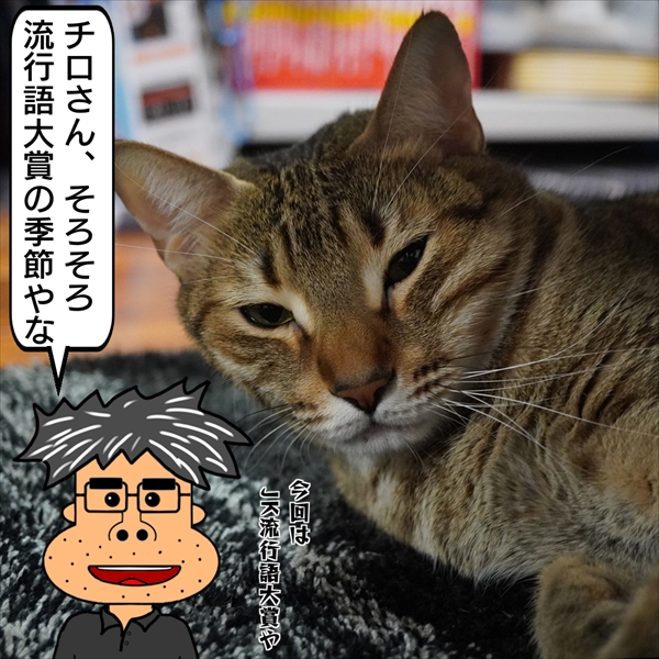 f:id:zutarou:20201224000521j:plain