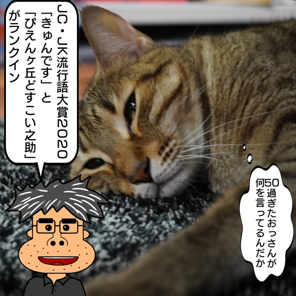 f:id:zutarou:20201224000528j:plain