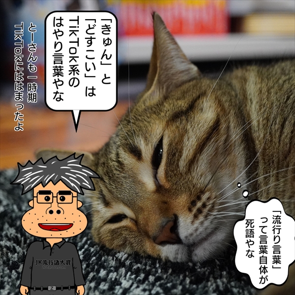 f:id:zutarou:20201224000536j:plain