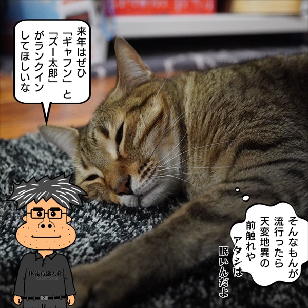 f:id:zutarou:20201224000544j:plain