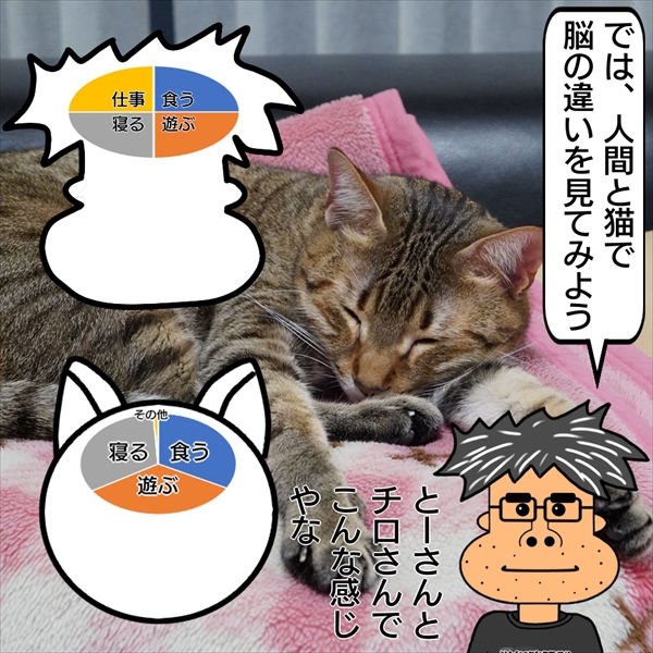 f:id:zutarou:20201228233144j:plain