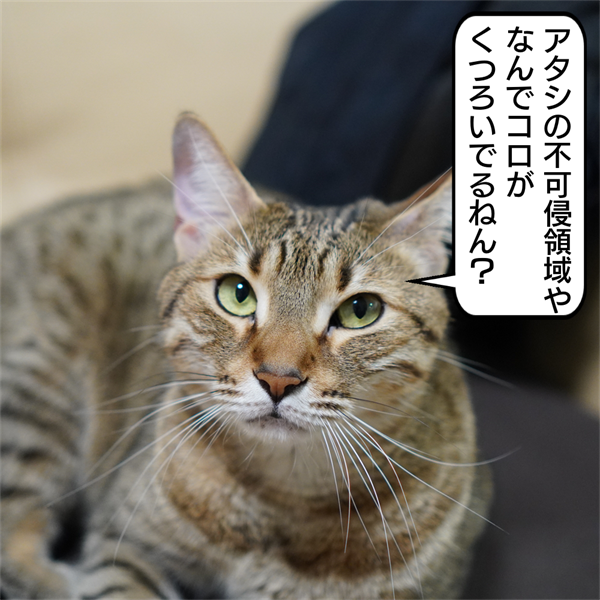 f:id:zutarou:20210115234455p:plain