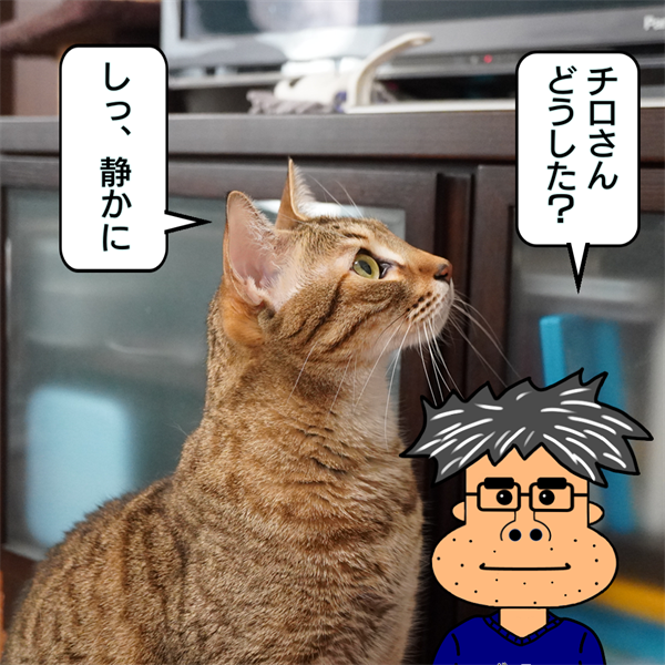 f:id:zutarou:20210116213344p:plain