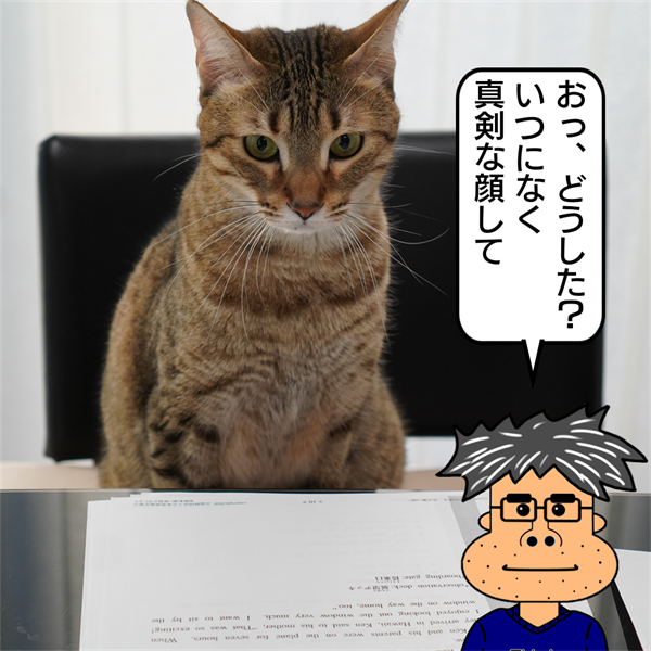 f:id:zutarou:20210126004339p:plain