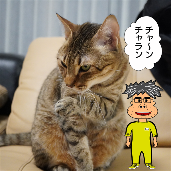 f:id:zutarou:20210221212813p:plain