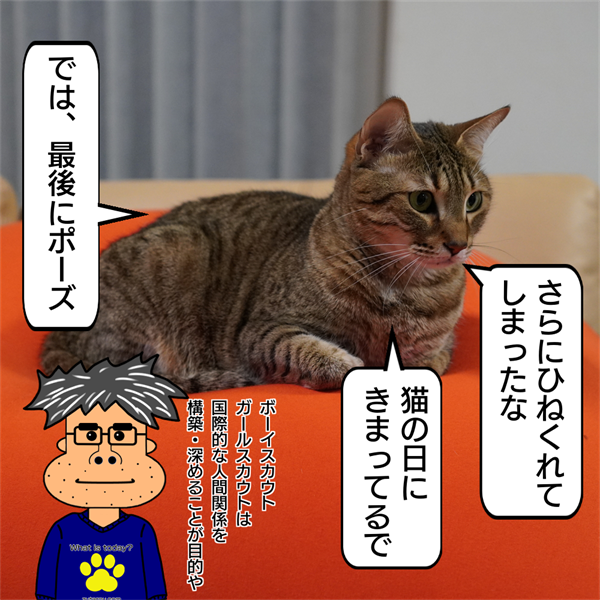 f:id:zutarou:20210221231033p:plain