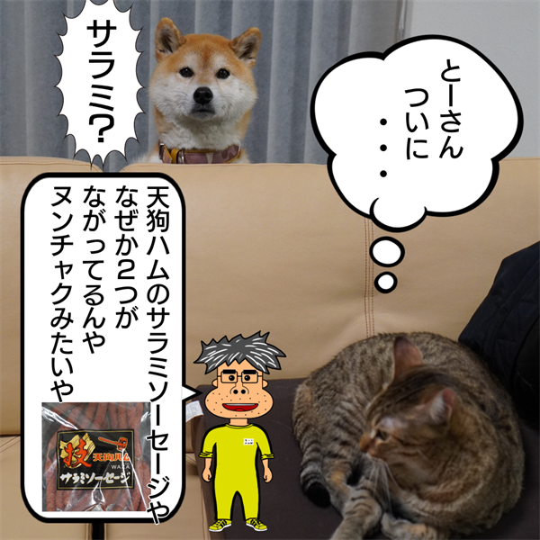 f:id:zutarou:20210227211138p:plain