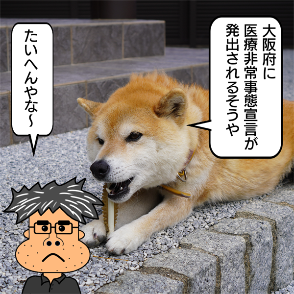 f:id:zutarou:20210406232033p:plain