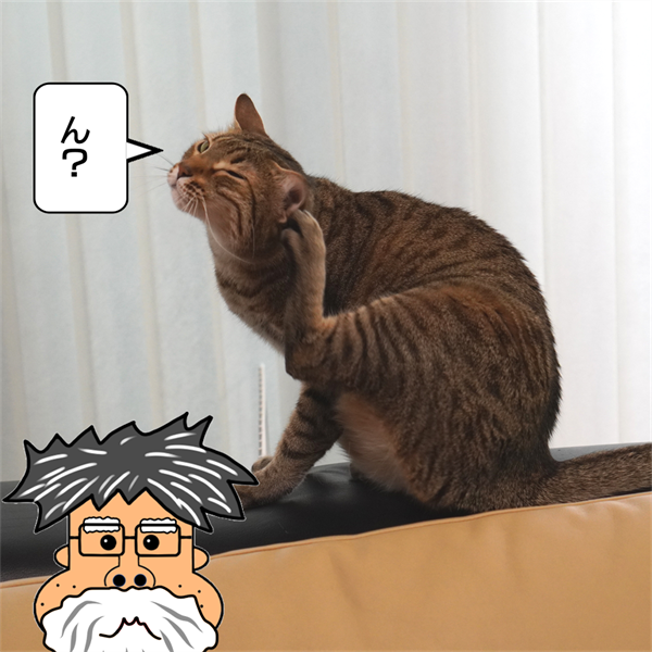 f:id:zutarou:20210409172839p:plain