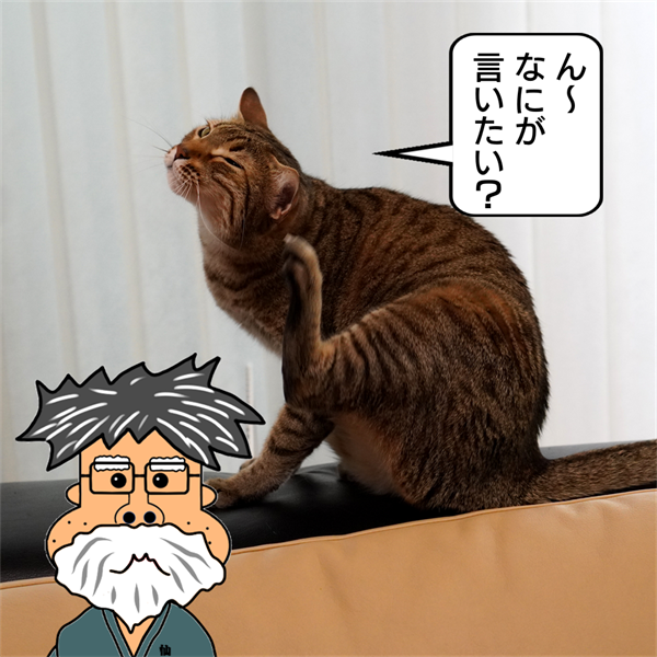 f:id:zutarou:20210409172850p:plain