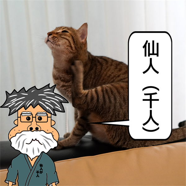 f:id:zutarou:20210409172904p:plain