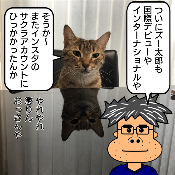 f:id:zutarou:20210409224614p:plain