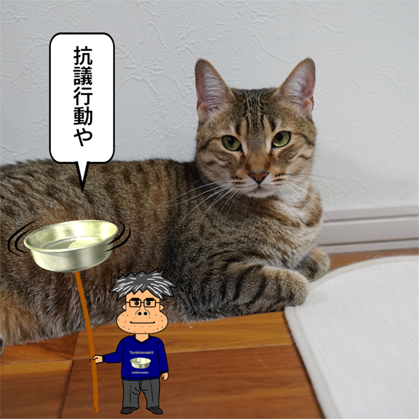 f:id:zutarou:20210428172850p:plain