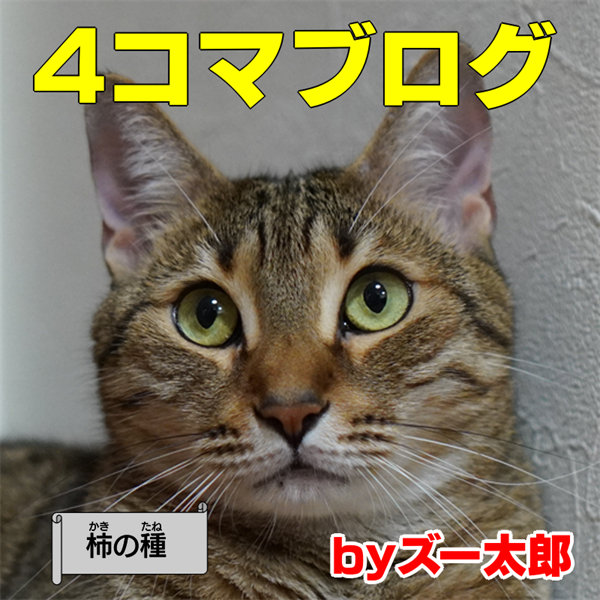 犬と猫の４コマ漫画 372 柿の種 イヌとネコの4コマ写真漫画