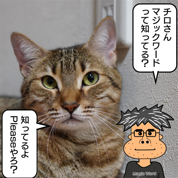 f:id:zutarou:20211101001044p:plain