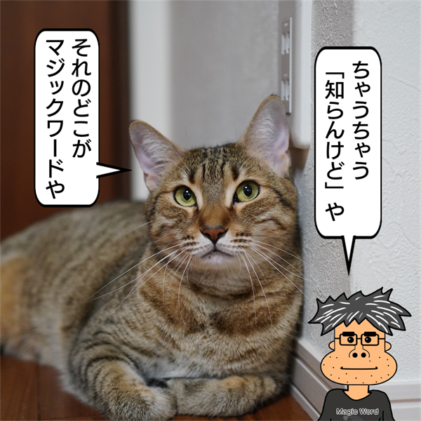 f:id:zutarou:20211101001053p:plain