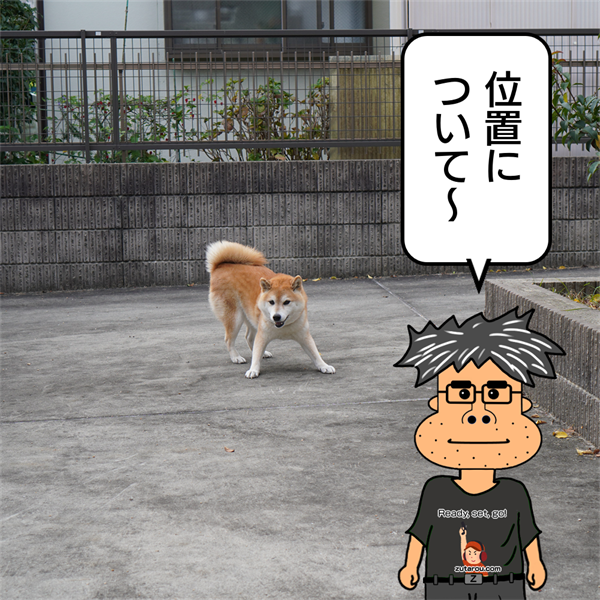 f:id:zutarou:20211115222144p:plain