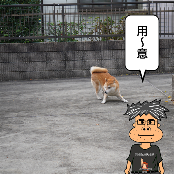 f:id:zutarou:20211115222153p:plain