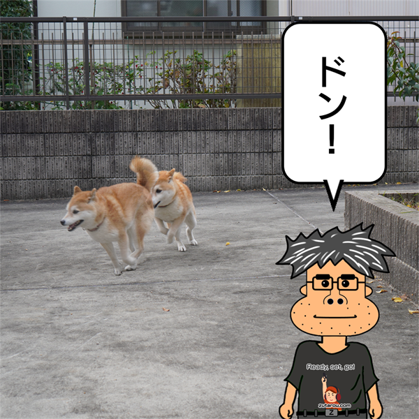 f:id:zutarou:20211115222204p:plain