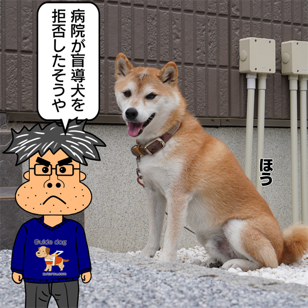 f:id:zutarou:20211202002329p:plain