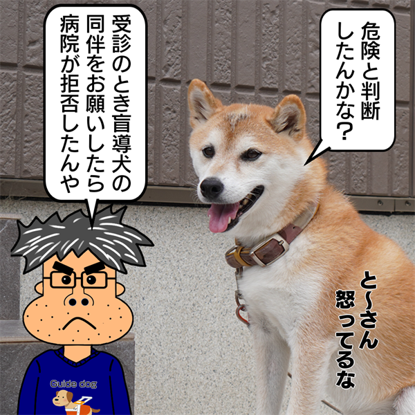 f:id:zutarou:20211202002338p:plain