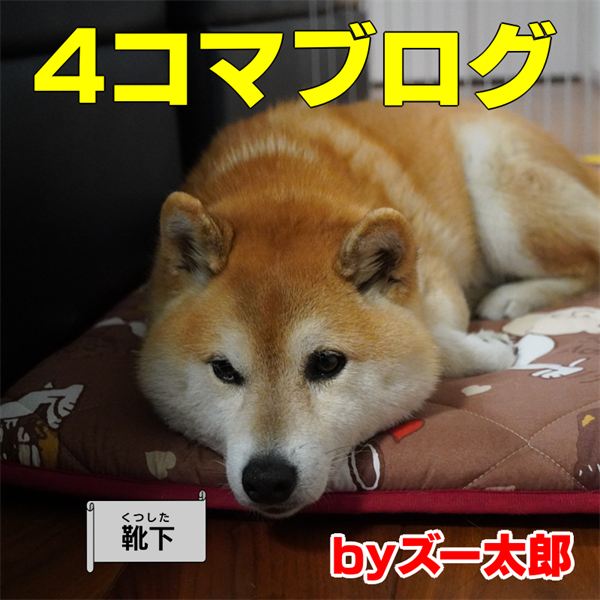 f:id:zutarou:20211226215816p:plain