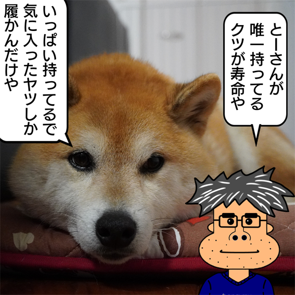 f:id:zutarou:20211226215836p:plain