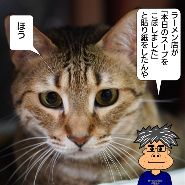 f:id:zutarou:20220202230059p:plain