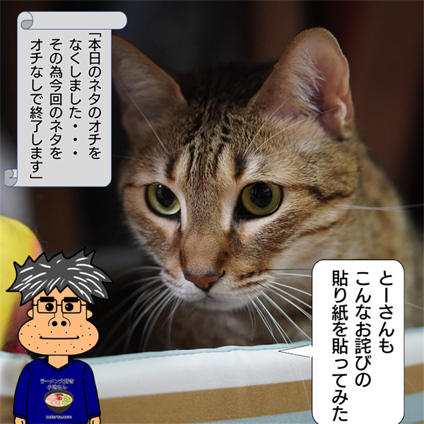 f:id:zutarou:20220202230120p:plain