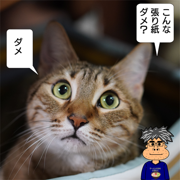 f:id:zutarou:20220202230130p:plain