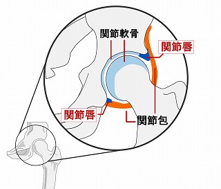 f:id:zutto-ne:20220228153630j:plain