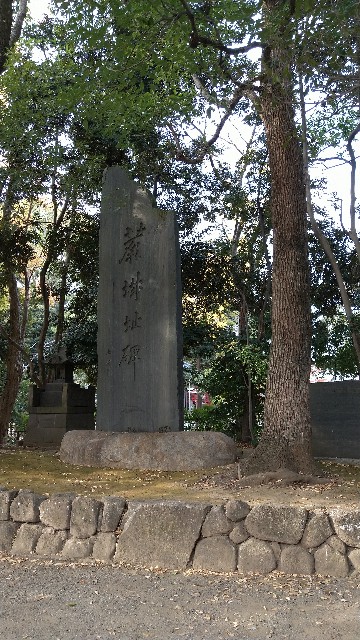 f:id:zuttotabibito:20201211150543j:image