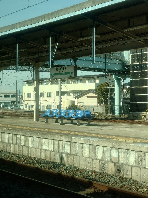 f:id:zuttotabibito:20250112220950j:image