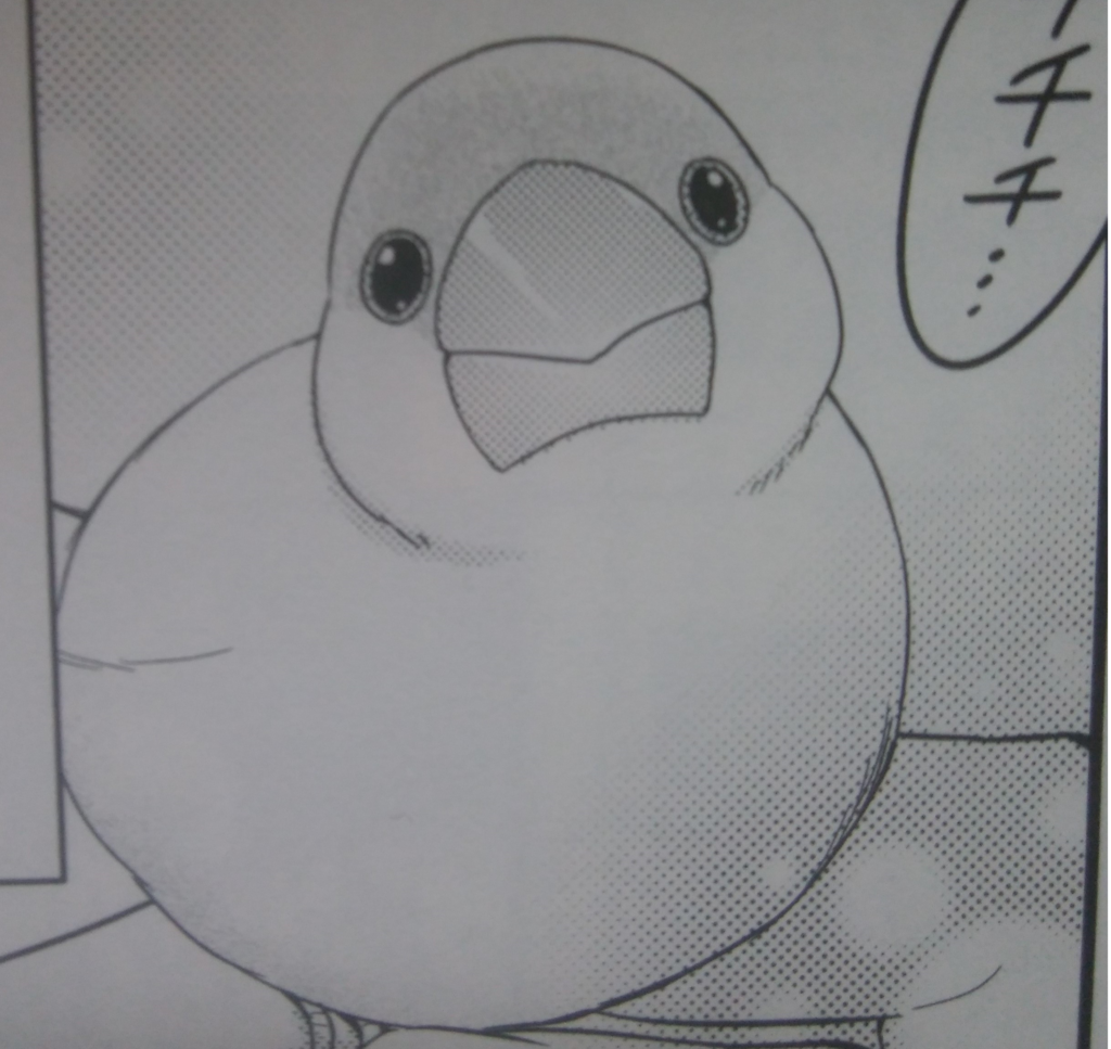 f:id:zuzuzuwork:20181004010502p:plain